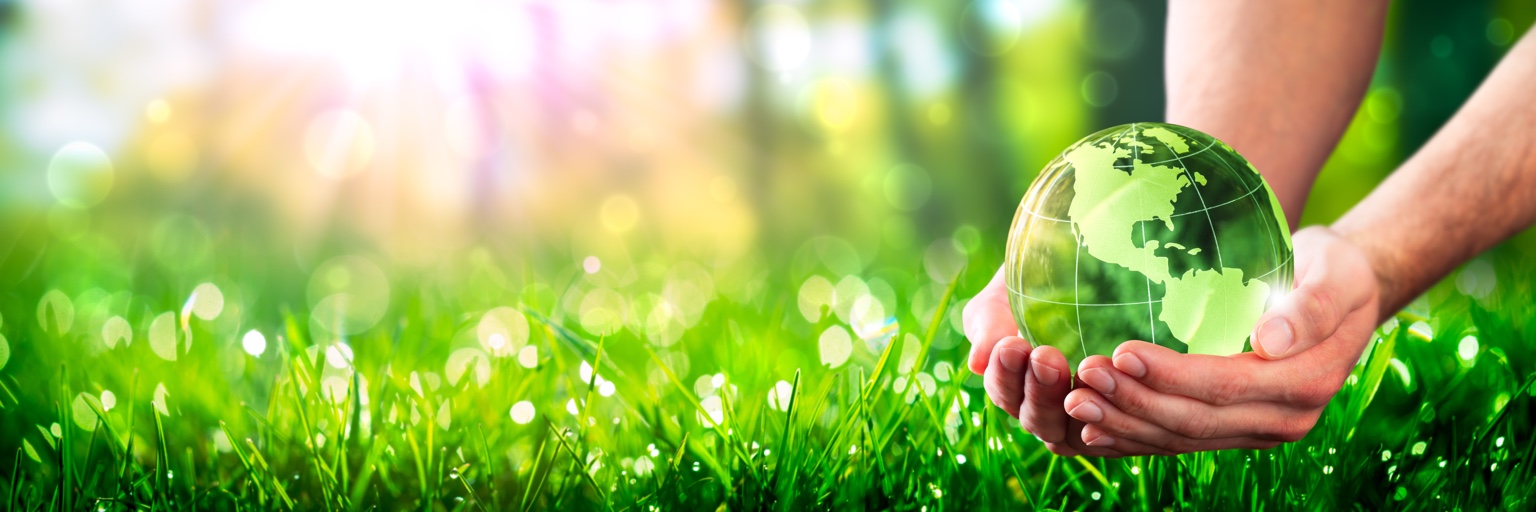 Green cleaning and environmental responsibility concept