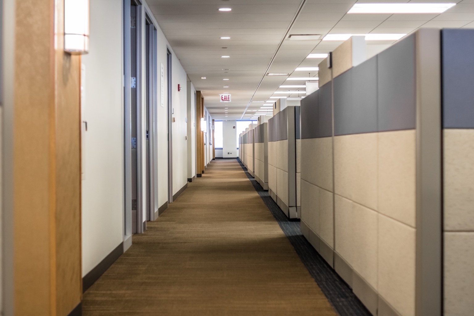 Commercial carpet in office corridor